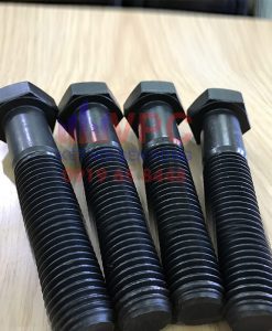 1501297912 Bulong 10.9